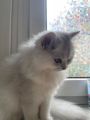 Vorschaubild 5