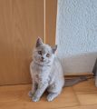 Vorschaubild 9