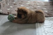 Vorschaubild 6
