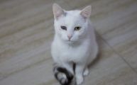 Vorschaubild 5