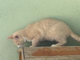 Vorschaubild 9