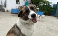 Vorschaubild 6