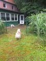 Vorschaubild 9