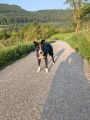 Vorschaubild 8