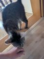 Vorschaubild 5