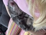 Vorschaubild 7