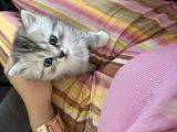 Vorschaubild 3