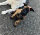 Vorschaubild 6