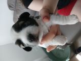Vorschaubild 5