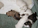 Vorschaubild 8