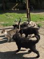 Vorschaubild 8