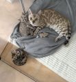 Vorschaubild 5
