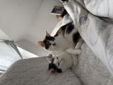 Vorschaubild 3