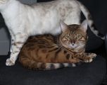 Vorschaubild 5