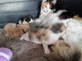 Vorschaubild 3