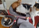 Vorschaubild 6