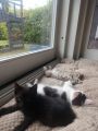 Vorschaubild 1