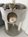 Vorschaubild 9
