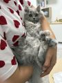 Vorschaubild 3