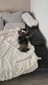 Vorschaubild 7