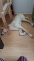 Vorschaubild 4