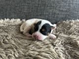 Vorschaubild 6