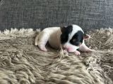 Vorschaubild 5