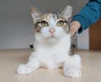 Vorschaubild 6