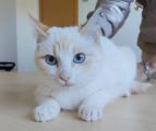Vorschaubild 3