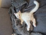 Vorschaubild 4
