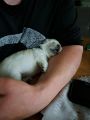 Vorschaubild 3