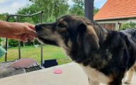 Vorschaubild 2