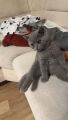 Vorschaubild 8