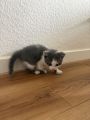 Vorschaubild 5