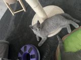 Vorschaubild 3