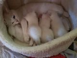 Vorschaubild 7