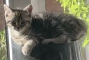Vorschaubild 2