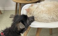 Vorschaubild 2