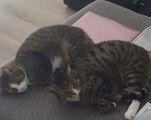 Vorschaubild 3
