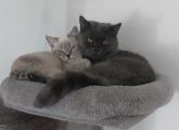 Vorschaubild 10