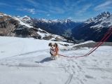 Vorschaubild 10