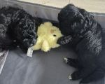 Vorschaubild 7