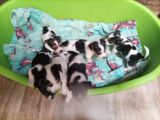 Vorschaubild 7