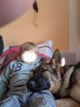 Vorschaubild 5