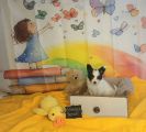 Vorschaubild 2