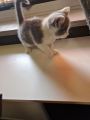Vorschaubild 5