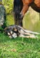 Vorschaubild 8