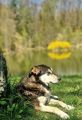 Vorschaubild 9