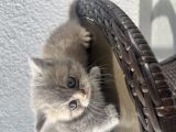 Vorschaubild 6