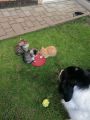 Vorschaubild 1